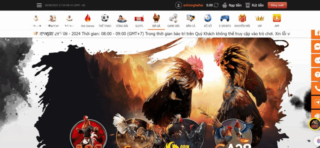 ĐÁ GÀ AE888 – HÌNH THỨC GIẢI TRÍ MANG VỀ LỢI NHUẬN KHỦNG